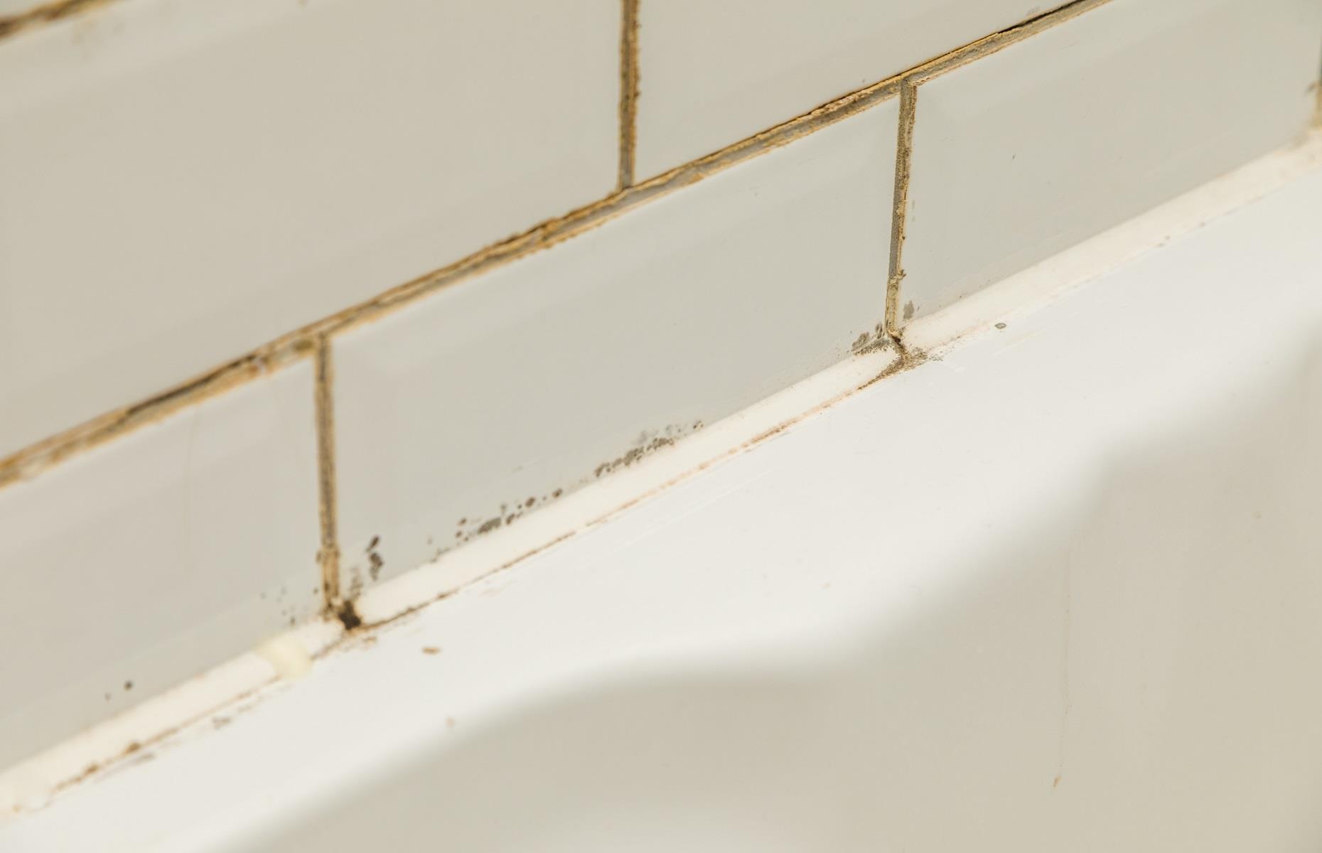 20 DIY Jobs That Could Save You A Fortune