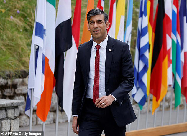 rishi sunak warns ukraine's opponents are 'on wrong side of history'