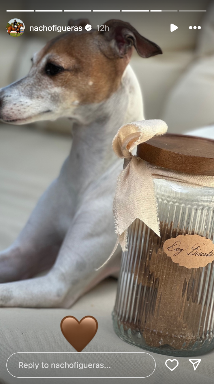 Man's best friend, posing next to the latest product from Meghan Markle's lifestyle brand. (Image credit: Instagram: @nachofigueras)