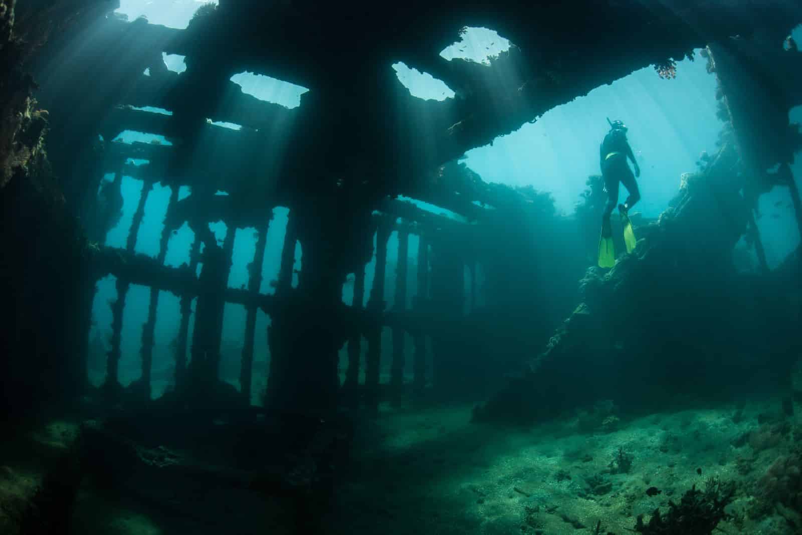 <p class="wp-caption-text">Image Credit: Shutterstock / Ethan Daniels</p>  <p>Yes, Pompano again. The shipwrecks here aren’t just dives; they’re underwater history lessons. Not many can say they’ve explored a sunken tanker, can you?</p>