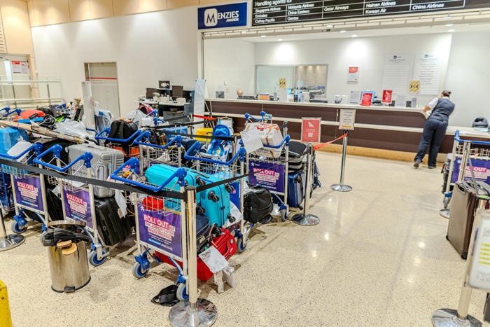 loja no alabama (eua) vende bagagens perdidas e viraliza
