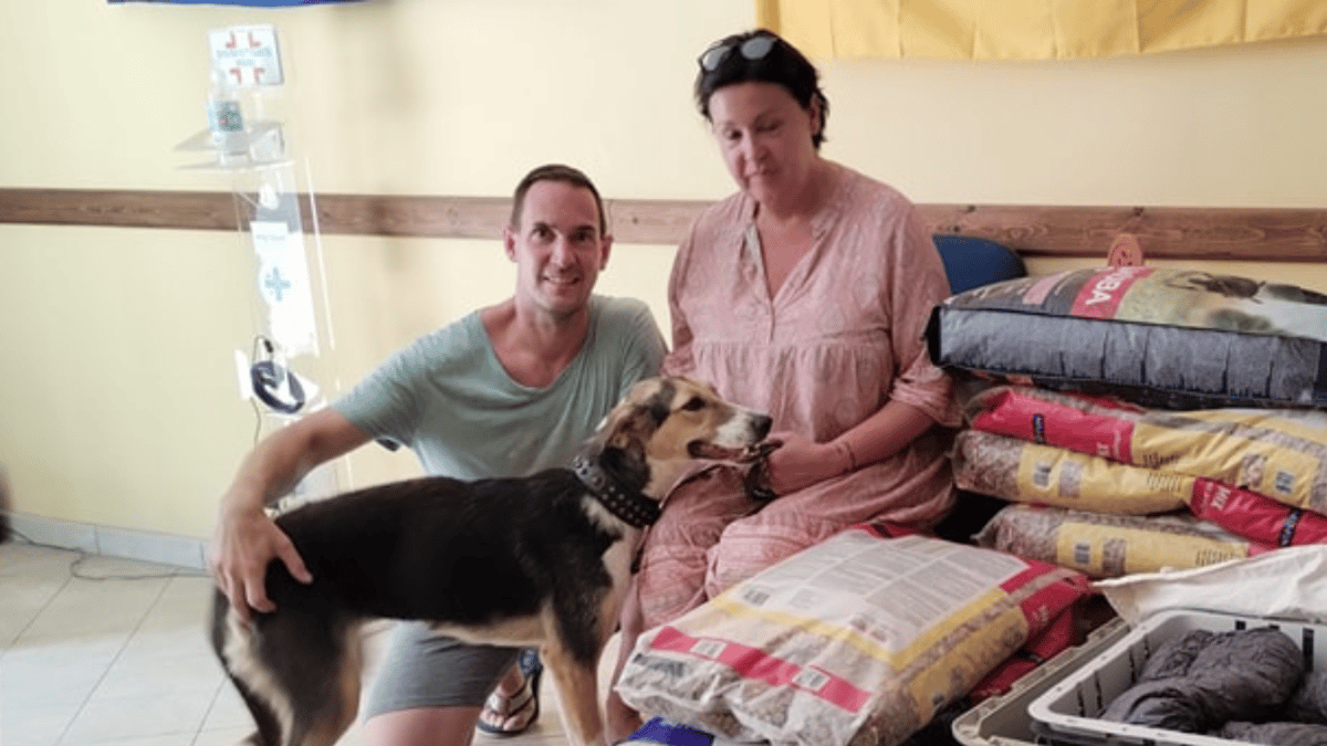 coppia tedesca compra casa in sicilia: non hanno idea di cosa li aspetta in giardino