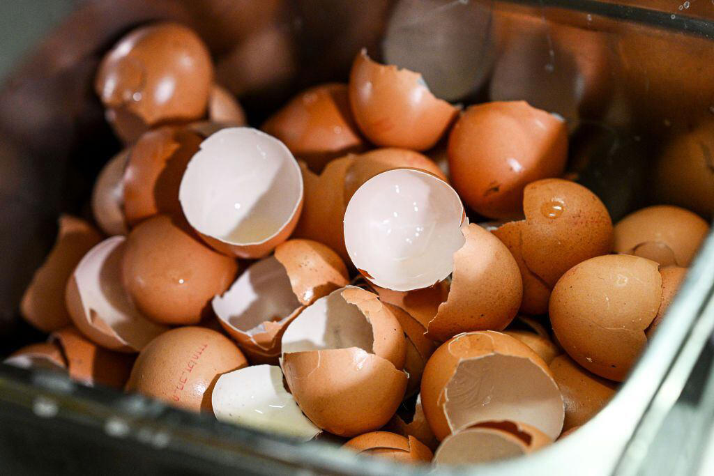 ¿para qué sirve la cáscara de huevo? 8 usos y propiedades de esta corteza