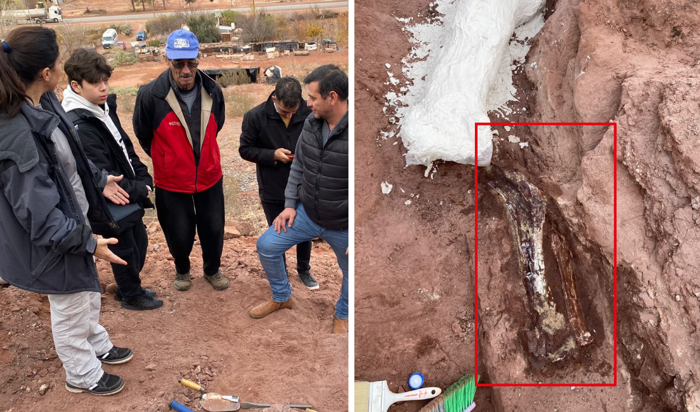 descubrimiento de un niño en argentina: encontró fósiles de un dinosaurio cuando jugaba en casa de su abuelo