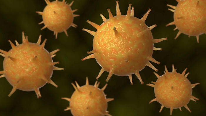 doppelt mutiert: gefährliche grippe-variante auf dem vormarsch – besonders europa betroffen
