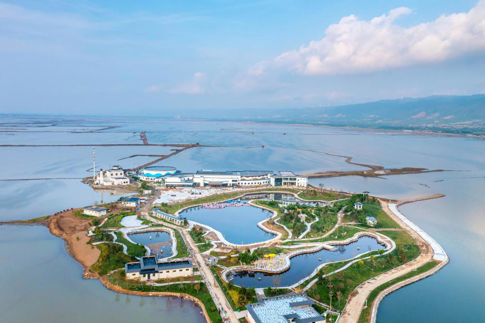 環境保全進む運城塩湖、新たな発展の道へ 中国山西省