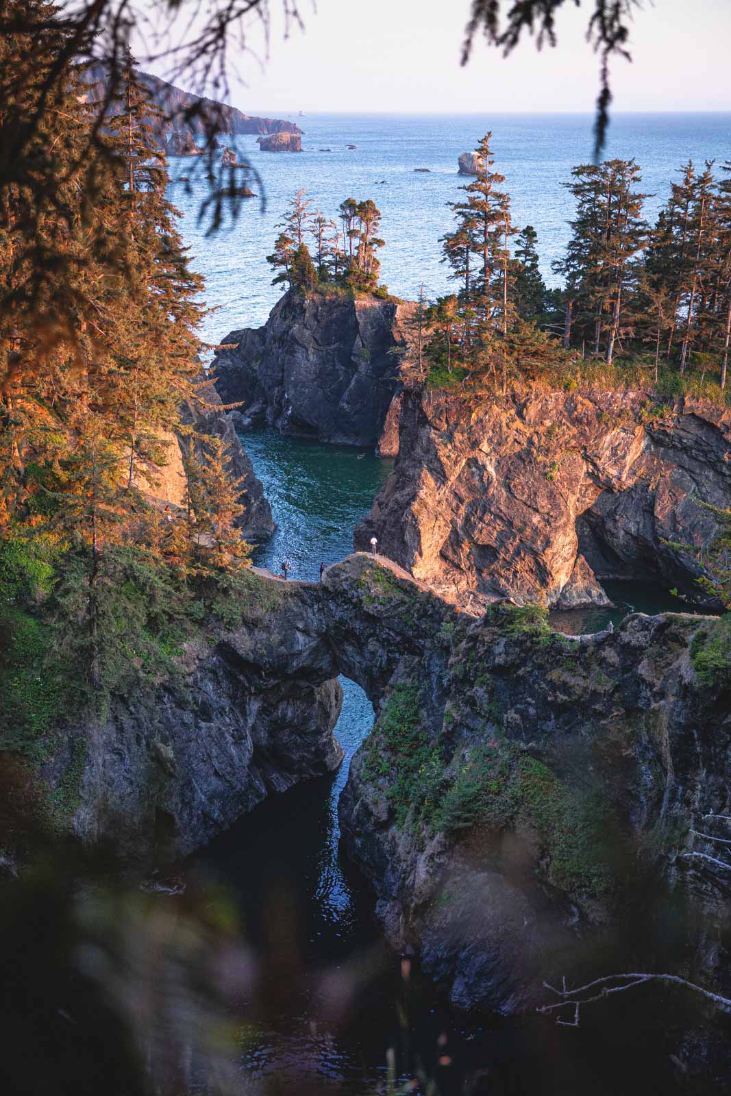 This 12-mile stretch of Highway 101 packs sea arches, blowholes and ...