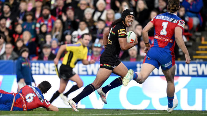 luai stars as panthers survive knights scare