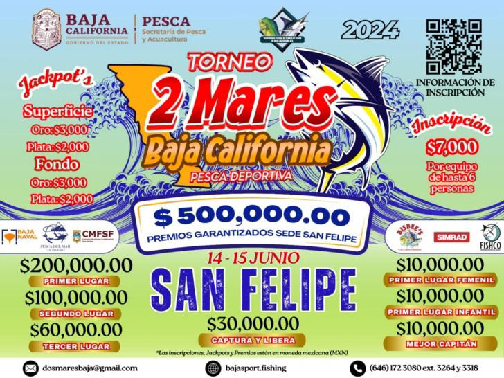 arranca torneo dos mares en san felipe, baja california 2024: ¿quiénes serán los ganadores?