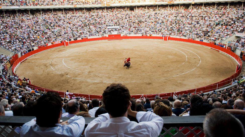 boy grapples with tradition in spanish bullfighting town