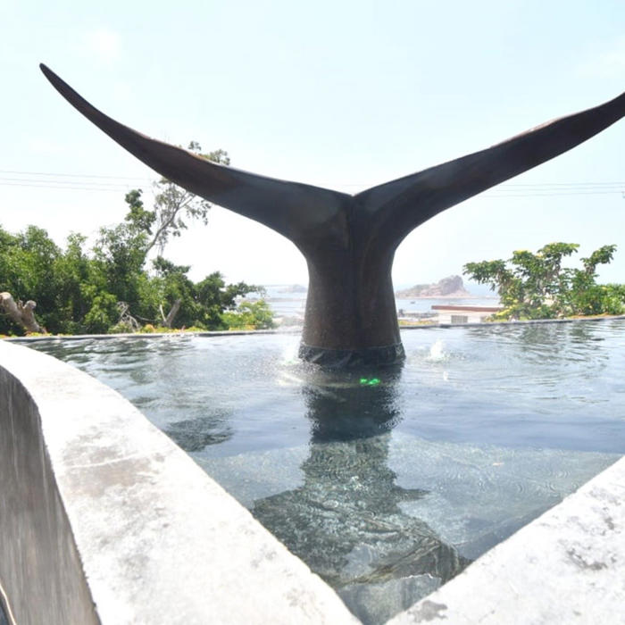 mazatlan contará con su primer museo nacional de la ballena en medio de la fascinación por el mar