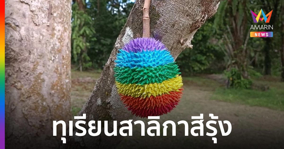 หนึ่งเดียวในไทย พังงาเปิดตัวทุเรียนสาลิกาสีรุ้ง ฉลองเดือน pride หนุนสมรสเท่าเทียม