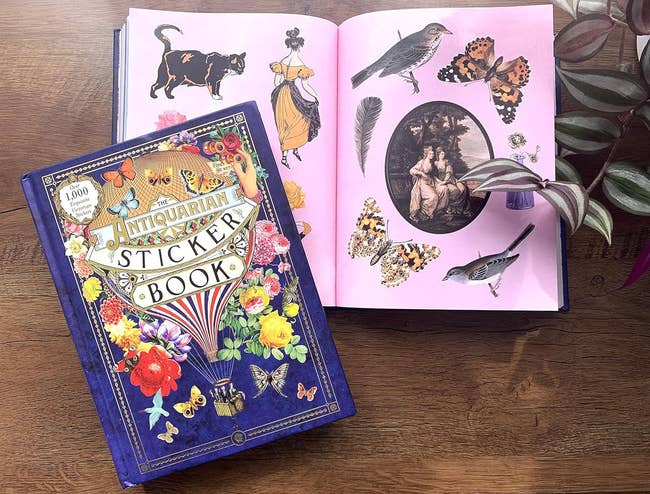 the sticker book