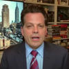 Anthony Scaramucci Scorches CEOs With 1 Blistering Description Over Trump Meeting<br>