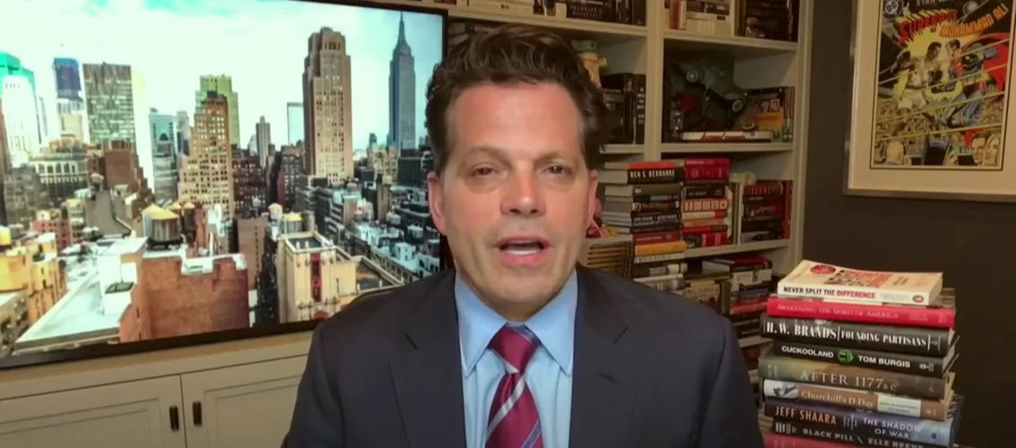 Anthony Scaramucci Scorches CEOs With 1 Blistering Description Over Trump Meeting
