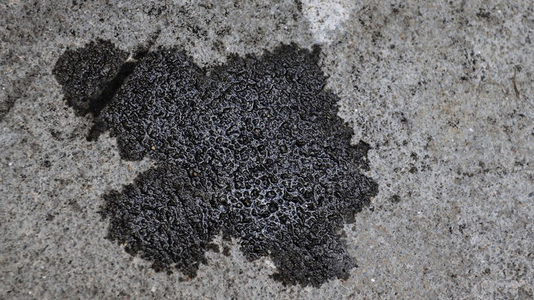 banish oil stains from your patio concrete with this household cleaner
