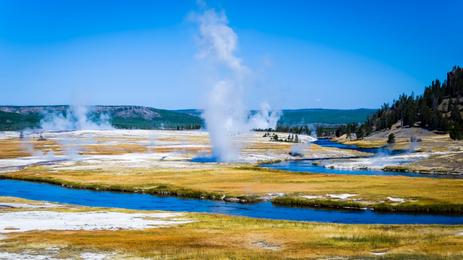 <p>The hydrothermal features in Yellowstone, which include geysers, hot springs, and boiling mud pots, are beautiful and unique but also extremely dangerous. The high temperatures, unpredictable nature of the thermal features, and the acidic or toxic nature of some of the water can pose serious risks to visitors.</p> <p>Over the years, there have been incidents where individuals have fallen into boiling hot springs or other thermal features, resulting in severe burns or fatalities. The high temperatures of these geothermal features can cause rapid and fatal injuries, making them extremely hazardous to anyone who ventures off designated paths or ignores safety regulations. Yellowstone National Park places a strong emphasis on safety and has warning signs, barriers, and guidelines in place to keep visitors safe around the hydrothermal areas.</p>