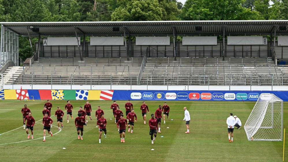 swiss forced to switch training pitch after 'grass died'