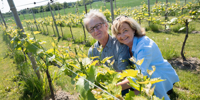 svensk vinproduktion ökar: ”det växer så det knakar”