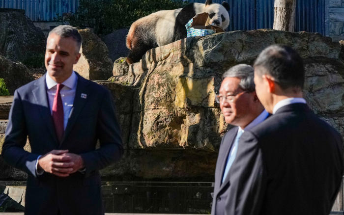 beijing uses panda diplomacy to repair ties with australia