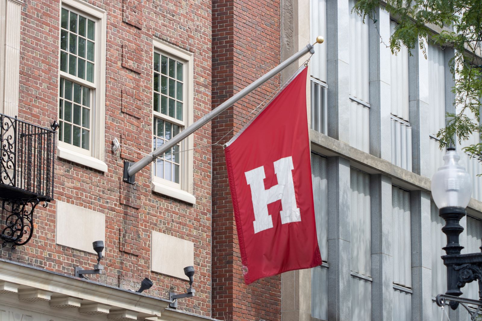 <p class="wp-caption-text">Image Credit: Shutterstock / Tada Images</p>  <p>Tour Harvard University in nearby Cambridge. Its history, architecture, and the significant role it has played in American education are captivating.</p>