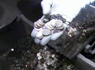 Pennsylvania waste management facility collects millions of dollars worth of tossed out coins<br><br>
