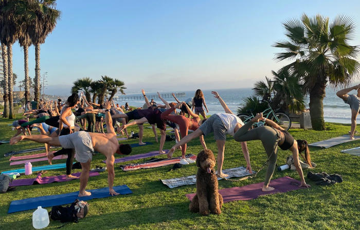 san diego’s yoga crackdown leaves yogis bent out of shape