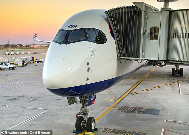 'We have a special bond': British Airways flight attendants save the ...