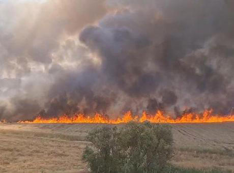 diyarbakır'da buğday ekili arazi yandı