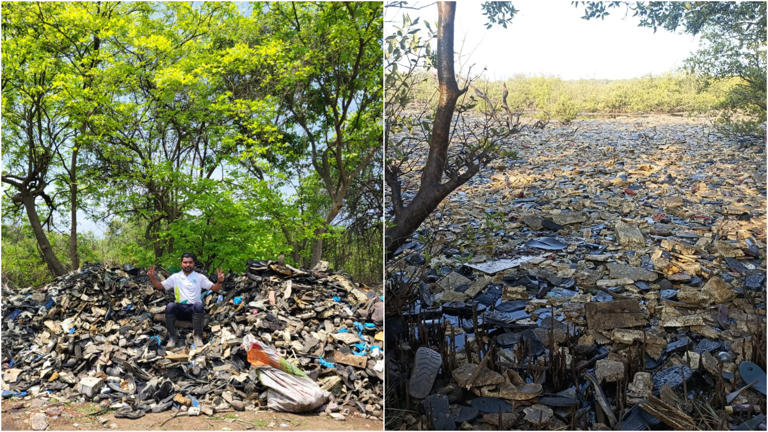 Navi Mumbai: Environment Life Foundation Marks 200th Week Of Mangroves ...