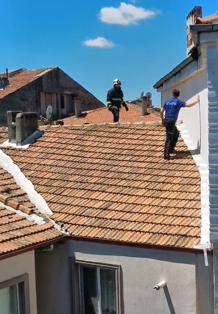 çatıda ayağı ipe dolanan kargayı polis ekibi kurtardı
