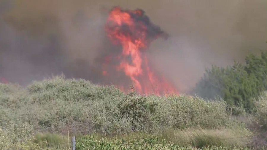 Fast-moving Brush Fire Near 5 Freeway In Gorman Burns Tens Of Thousands ...