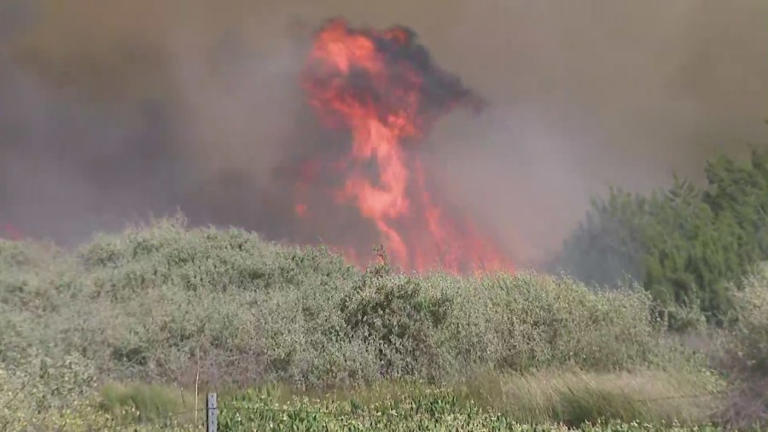 Fast-moving brush fire near 5 Freeway in Gorman burns tens of thousands ...