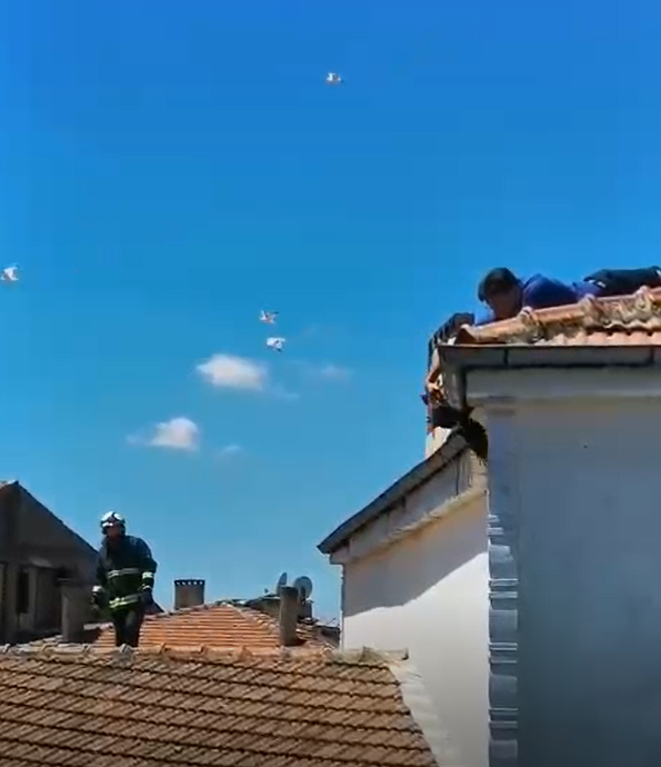 çatıda ayağı ipe dolanan kargayı polis ekibi kurtardı