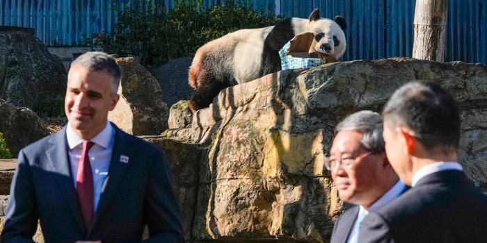 kina erbjuder australien pandor i diplomatisk gest