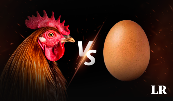 científicos resuelven un dilema que hace explotar cabezas: ¿qué fue primero, el huevo o la gallina?