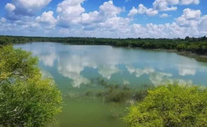 las fuertes lluvias reviven laguna en tizimín, yucatán: ecosistema acuífero estuvo seco durante varios meses