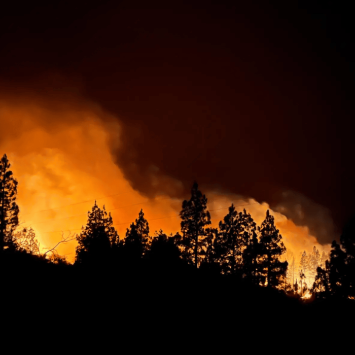 más de mil personas en las afueras de los ángeles son evacuadas por incendio forestal
