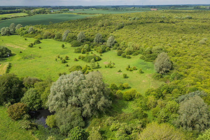 bid to save early rewilding site that hosts rare nightingales and turtle doves