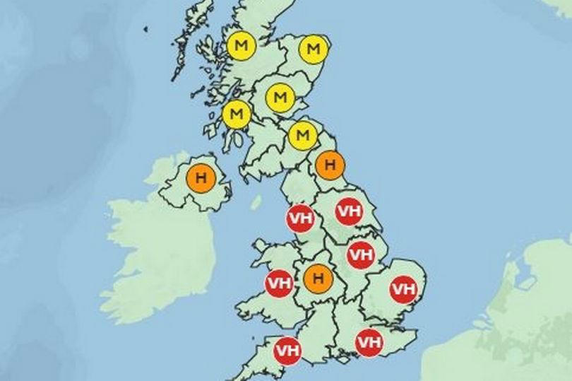 new uk maps show exactly where and when 'pollen bomb' will strike britain