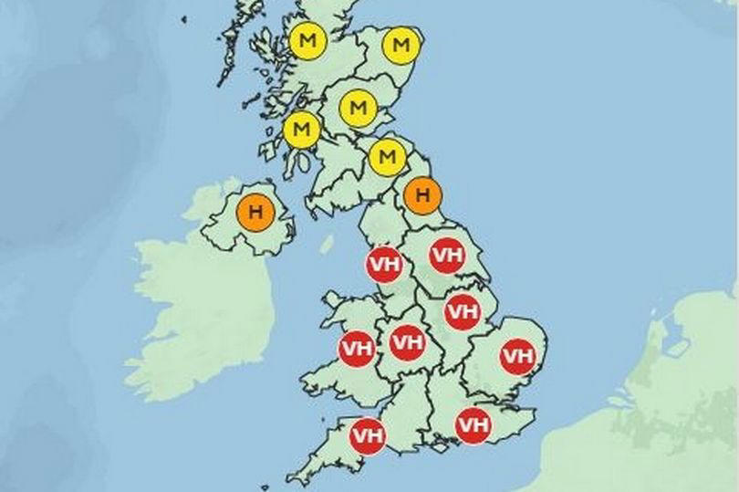 new uk maps show exactly where and when 'pollen bomb' will strike britain