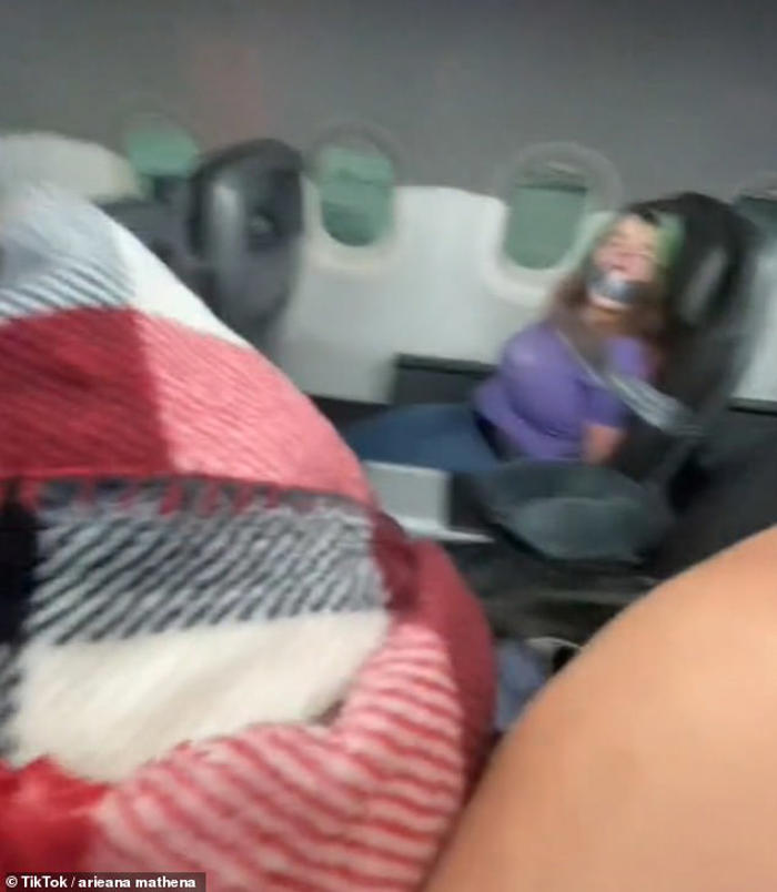 american airlines passenger sued by for trying to open aircraft door