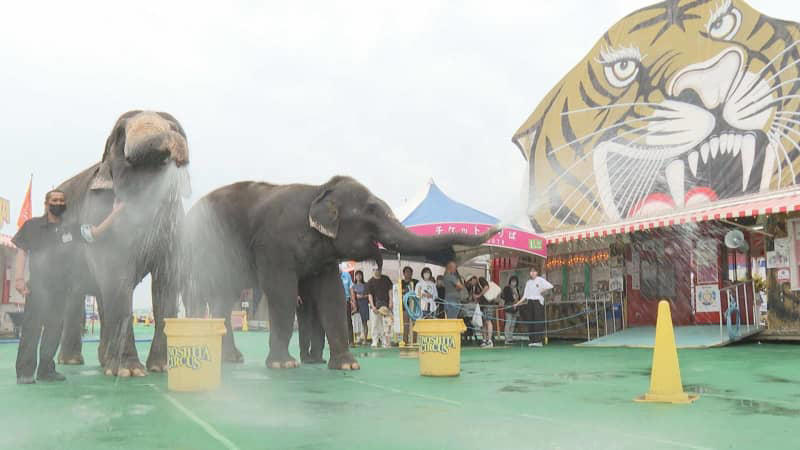 象も放水！「木下大サーカス」で消防訓練 広島