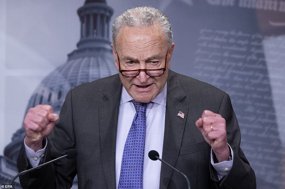 Chuck Schumer Is Roasted Over Grill Skills After Father's Day Post