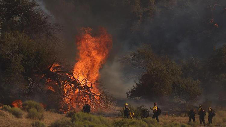 abd’de orman yangını:1200 kişi tahliye edildi