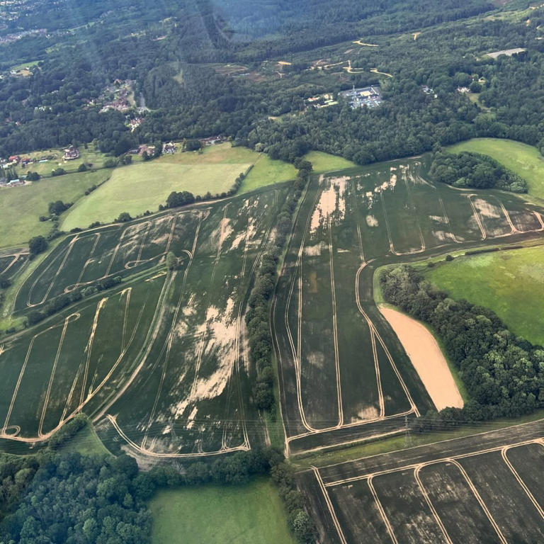 Crops at his farm Diddly Squat have been washed out (Picture: Diddly Squat Farm Shop/ Instagram)