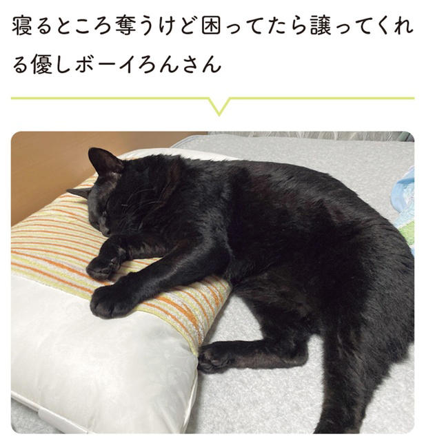 「どこで寝ようかな…」飼い主の枕で寝る黒猫に声をかけてみた