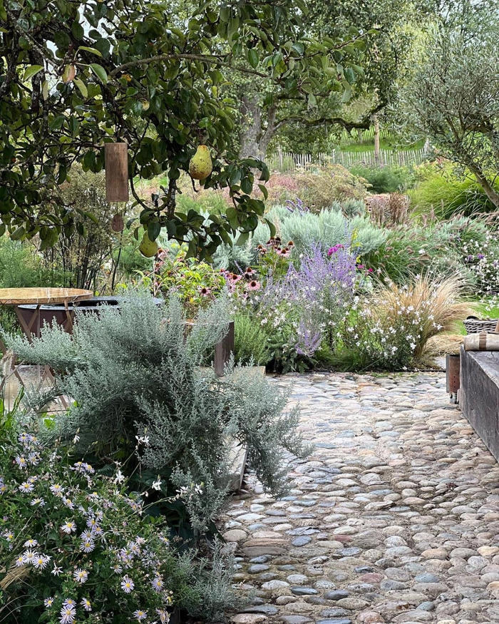 aménagement d’un petit jardin : 11 idées pour votre extérieur