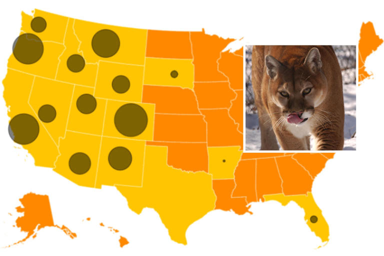 Mountain Lion Map Shows Populations in US States