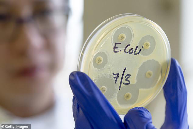 e. coli food poisoning is 'much worse' in children, experts warn